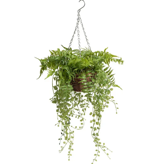 Mixed Fern Hanging Plant Basket Green (66cmH)
