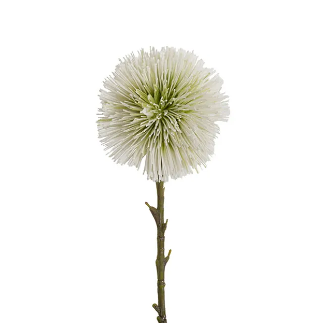 Onion Ball Stem Green Cream (15cmDx47cmH)