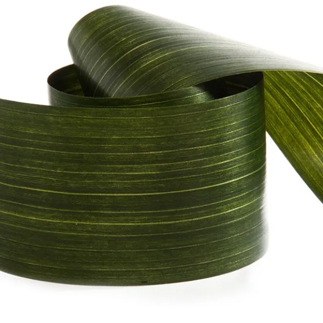 Ribbon Tear Aspidistra Leaf Green (10cmx50m)