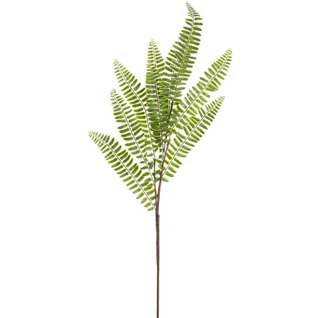 Sword Fern Spray Green (71cmH)