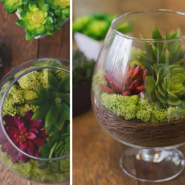 Reindeer Moss Preserved Bag Moss Light Green (55gm Bag)