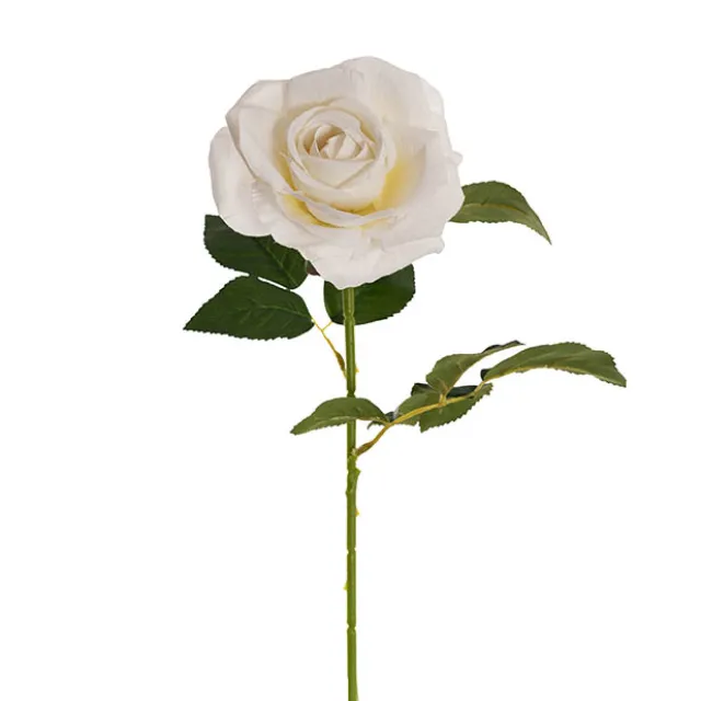 Velvet Rose Full Bloom Stem White (13cmDx75cmH)
