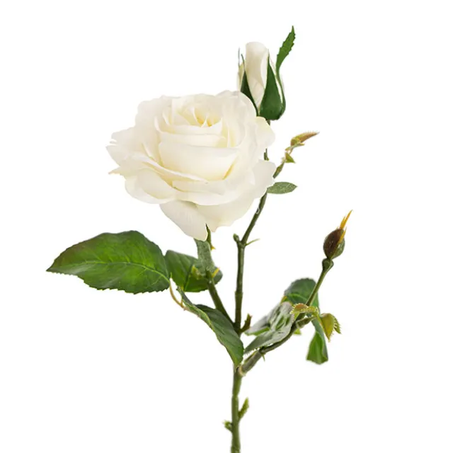 Real Touch Short Stem Rose x 3 Head White (36cmH)