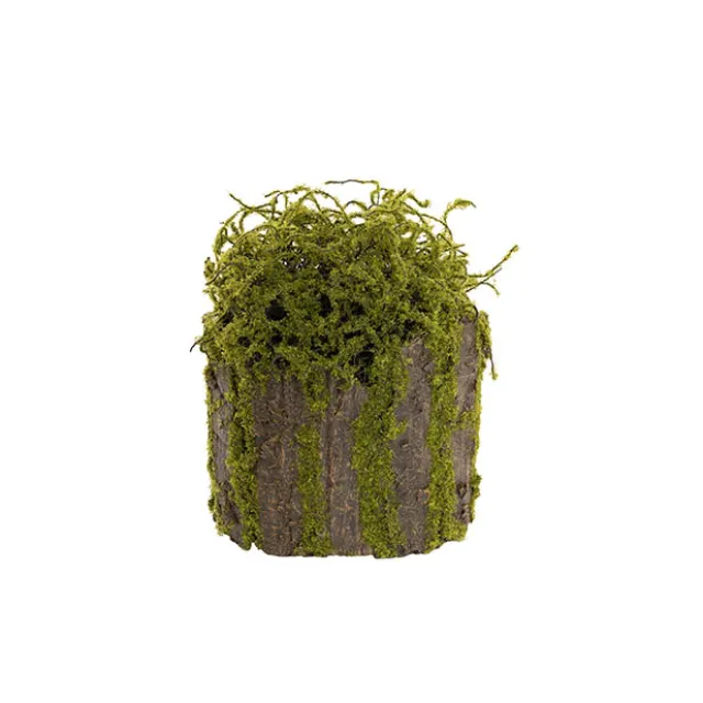 Artificial Moss Arrangement Pot Green (19cmH)