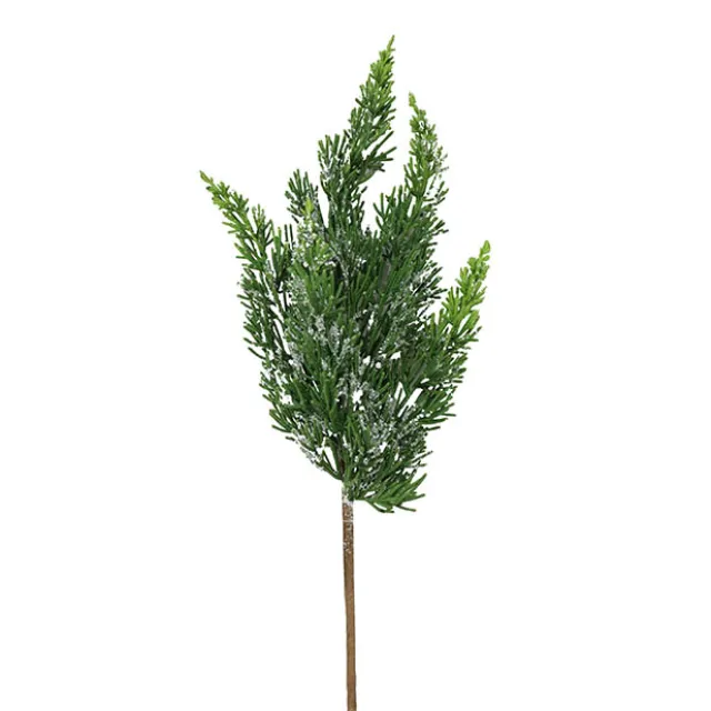 Frosted Cedar Pine Pick Green (43cmH)