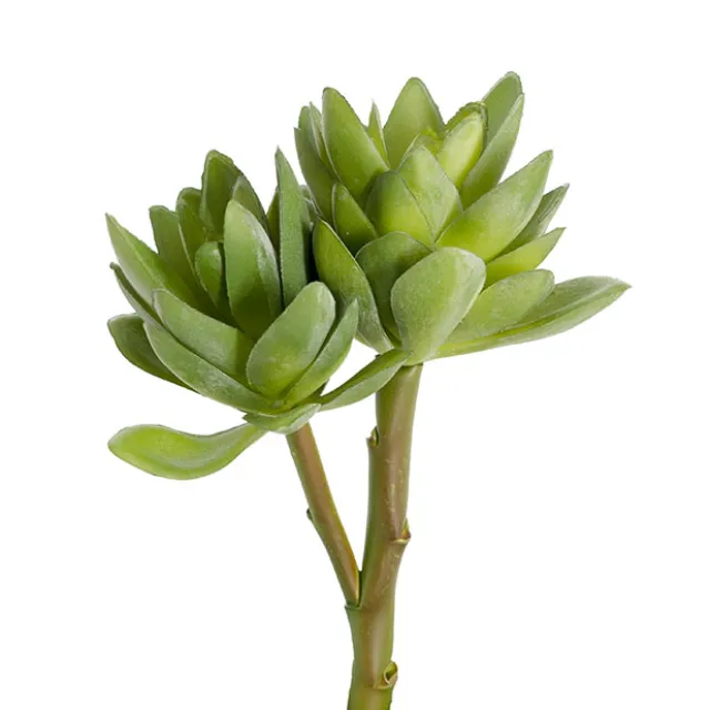 Artificial Succulent Florette 2 Head Spray Green (18cmH)