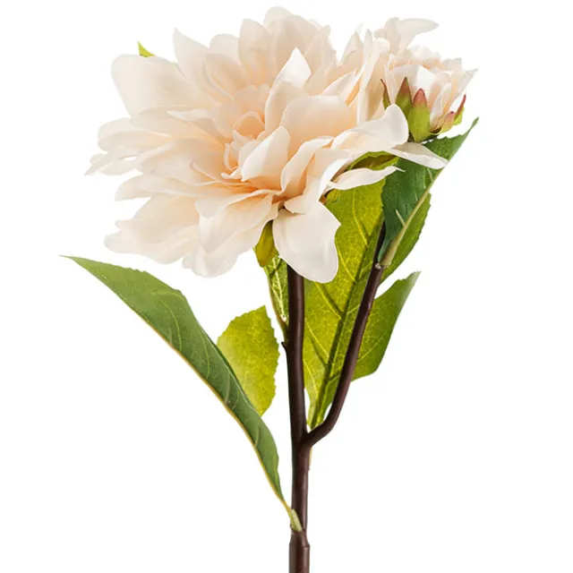 Dahlia Stem White (53cmH)