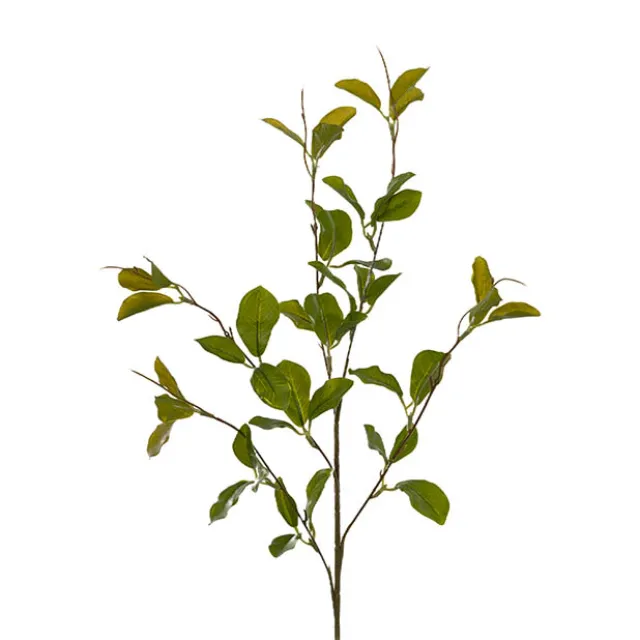 Banyan Leaf Spray Light Green (84cmH)