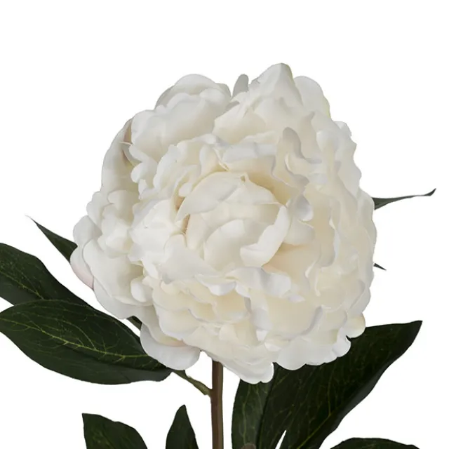 Real Touch Peony Stem Off White (15cmDx68cmH)