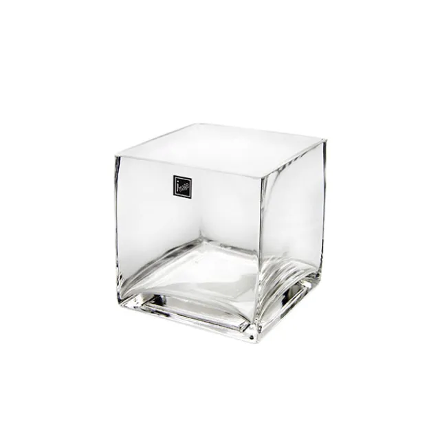 Glass Cube Vase 12cm Clear (12x12x12cmH)