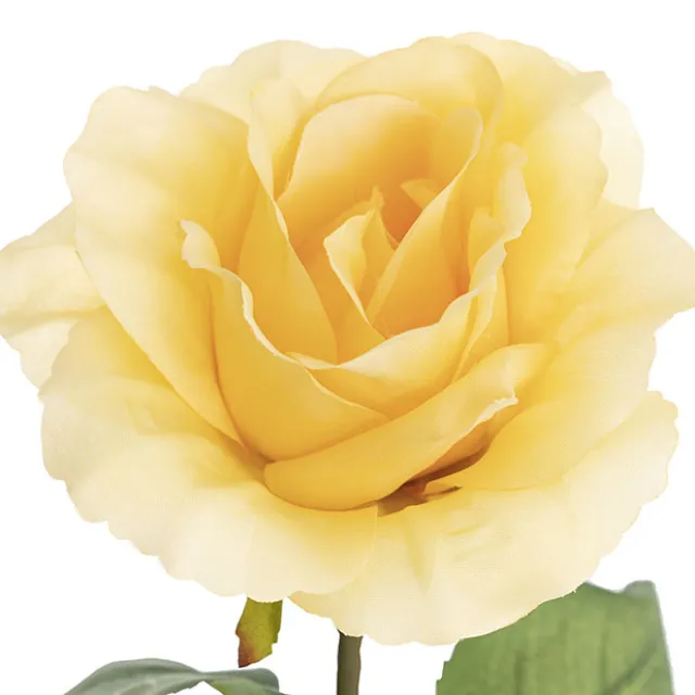 Siena Silk Rose Open Soft Yellow (67cmH)