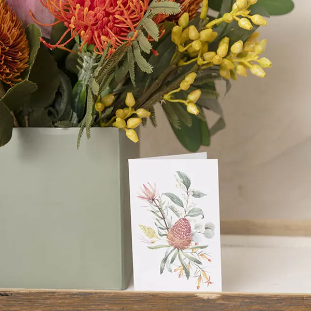 Classic Gift Card & Envelope Natives Pk25 (6.5x10cmH)