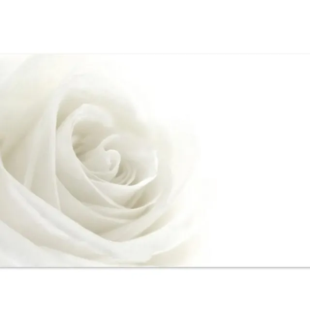 Cards Rose Open White (10x6.5cmH) Pack 50