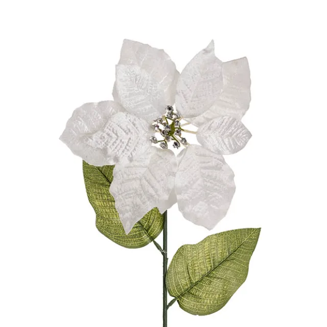 Poinsettia Long Stem White (22cmDx65cmH)