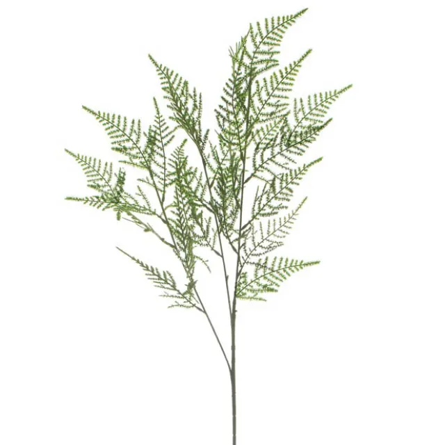 Leaf Cypress Fern Spray Green (73cmH)