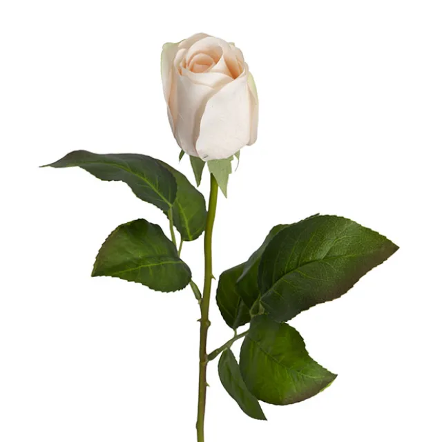 Bella Real Touch Rose Bud Soft Peach (60cmH)