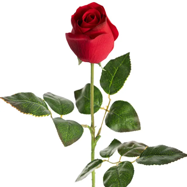 Bella Real Touch Rose Bud Dark Red (60cmH)