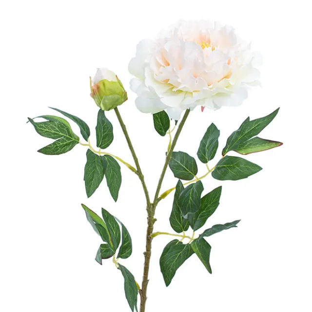 Evelyn Peony Spray Champagne (70cmH)