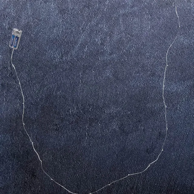 LED Fairy Seed Lights Waterproof 20Lights 2m 2xAA White