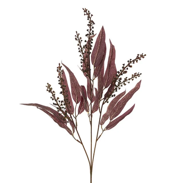 Eucalyptus Willow Leaf & Seed Spray Burgundy (77cmH)