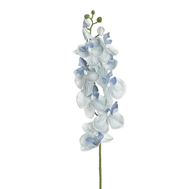 Phalaenopsis Orchid Real Look 8 Flowers White Blue (78cmH)