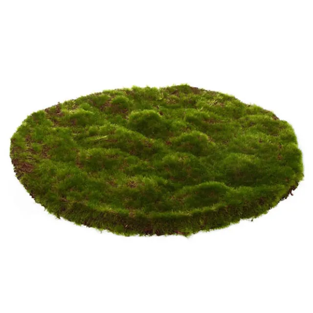 Artificial Moss Mat Rocky Round Green (30-36cm)