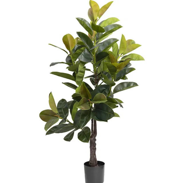 Real Touch Rubber Tree Green (175cmH)