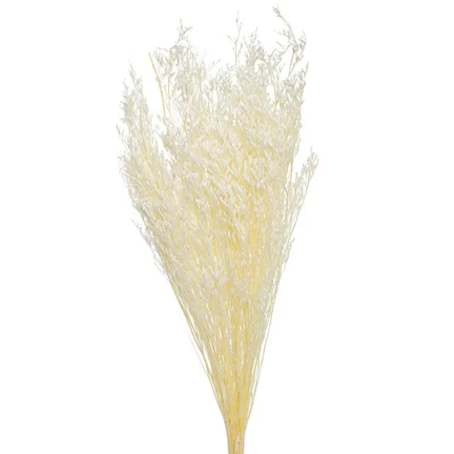 Preserved Dried Sea Lavender Bunch 100g White