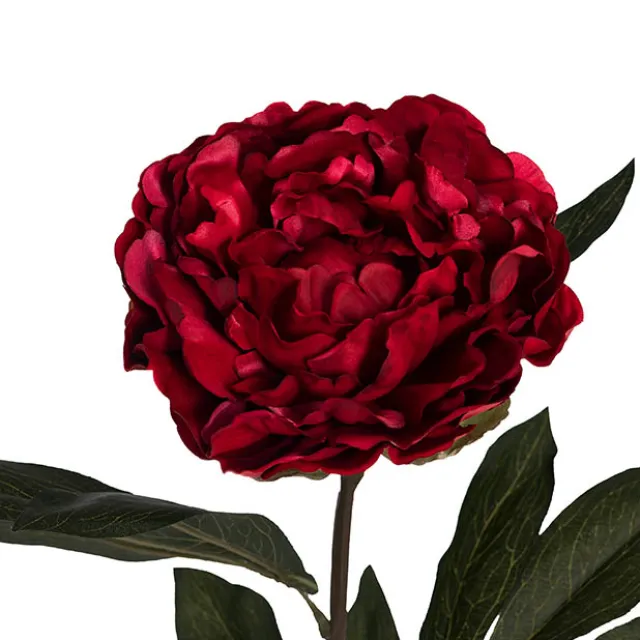 Real Touch Peony Stem Dark Red (15cmDx68cmH)