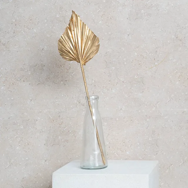 Preserved Dried Palm Spear Leaf Gold (45-50cmH)