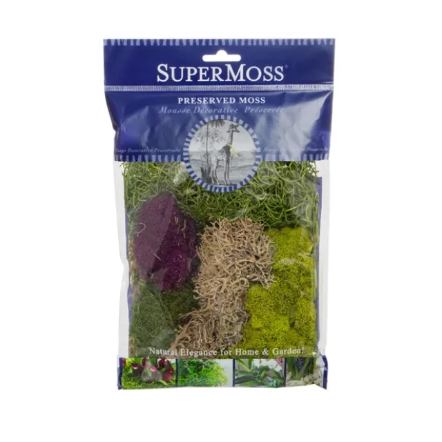 Moss Mix Preserved Bag Moss Assorted Best Sellers (55gm Bag)