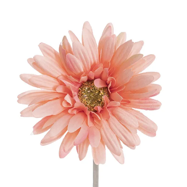Gerbera Aztec Soft Peach (10cmDx54cmH)