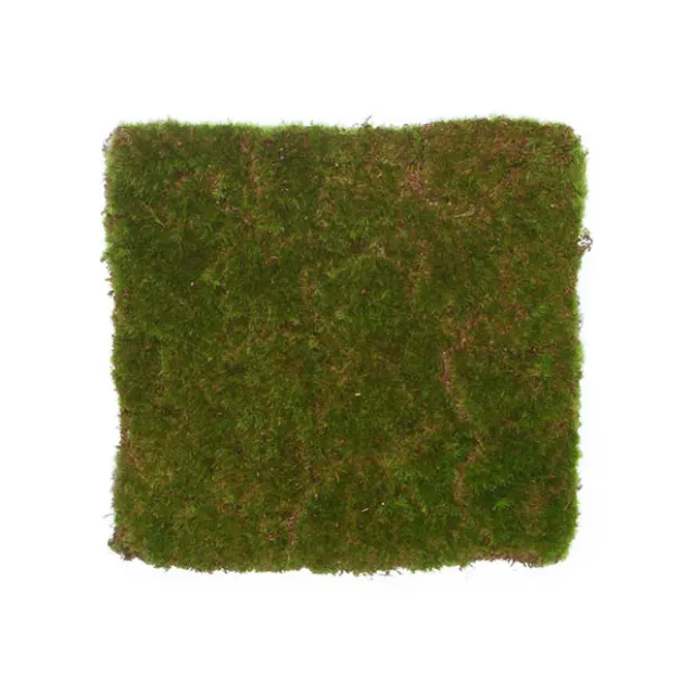 Artificial Moss Mat Rocky Square Green (30cmx30cm)