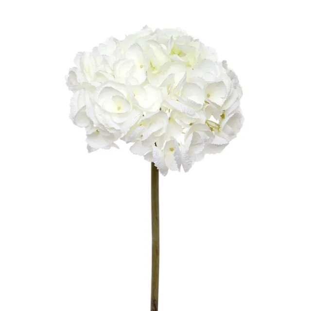 Giant Sahara Hydrangea Cream (22cmDx59cmH)