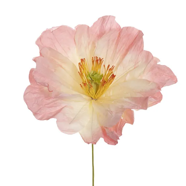 Large Heirloom Paper Rose Stem Soft Pink (37cmDx80cmH)