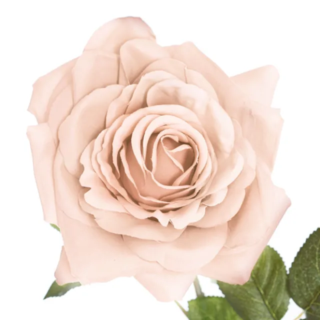 Large Colombian Rose Stem Nude (20cmDx86cmH)