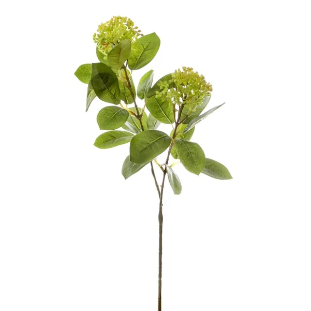 Viburnum Spray x2 Heads Green (70cmH)