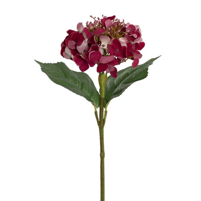 Budding Real Touch Hydrangea Stem Wine (18cmDx70cmH)