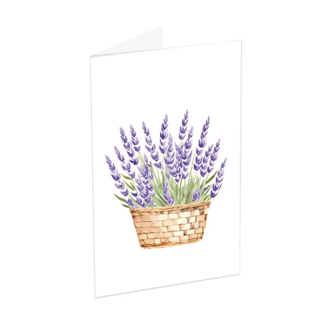 Classic Gift Card & Envelope Lavender Pk25 (6.5x10cmH)