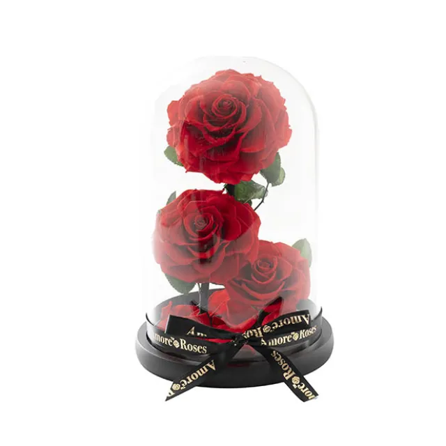 Amore Forever Rose 3 Stem Cloche Red (17x26cmH)