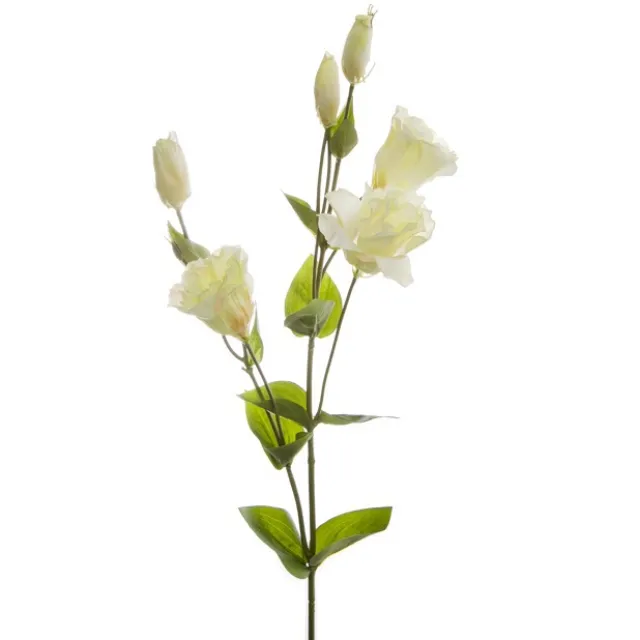 Lisianthus Spray Cream (89cmH)