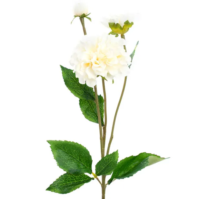 Barla Zinnia Spray Light Champagne (67cmH)