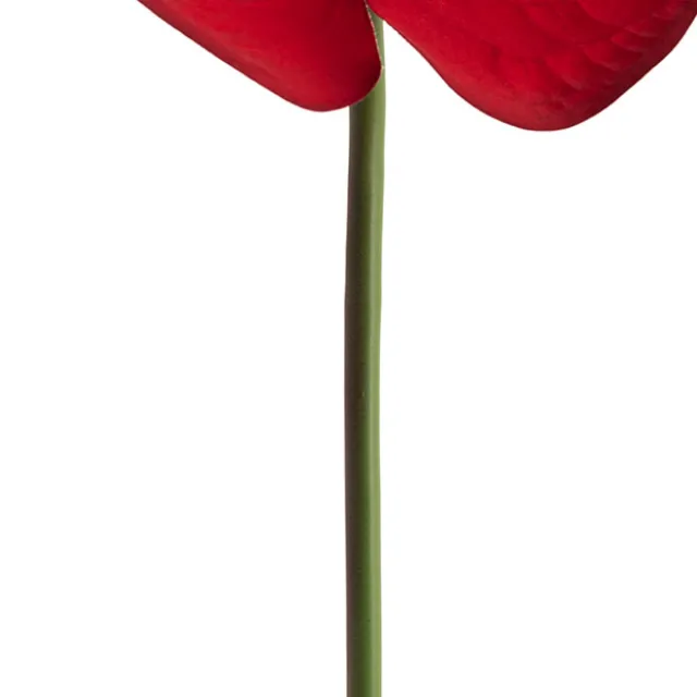 Real Touch Anthurium Red (63cmH)