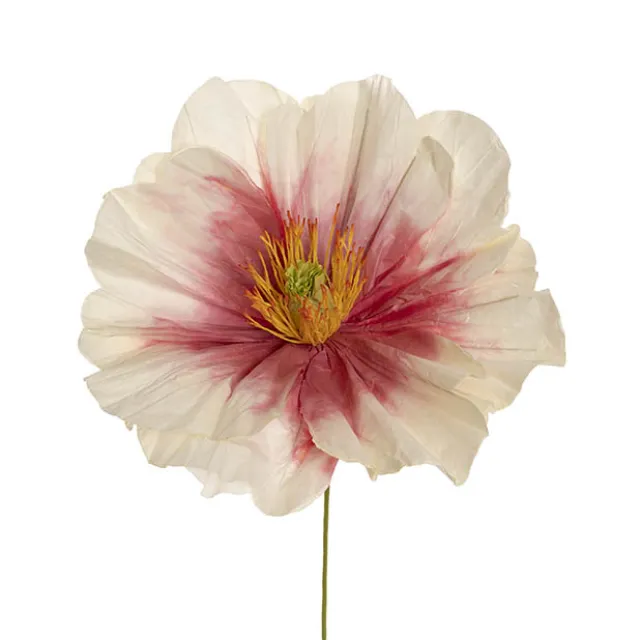 Large Heirloom Paper Rose Stem Cream Hot Pink (37cmDx80cmH)