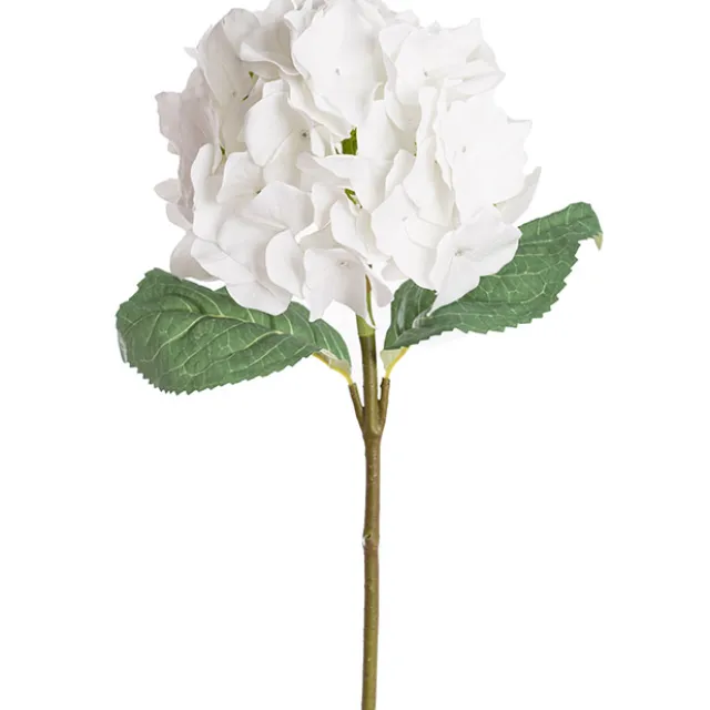 Royal Hydrangea Stem White (18cmDx78cmH)