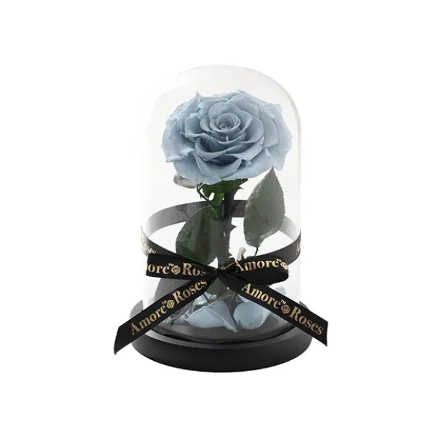 Amore Forever Rose Single Stem Cloche Blue (12cmDx20cmH)