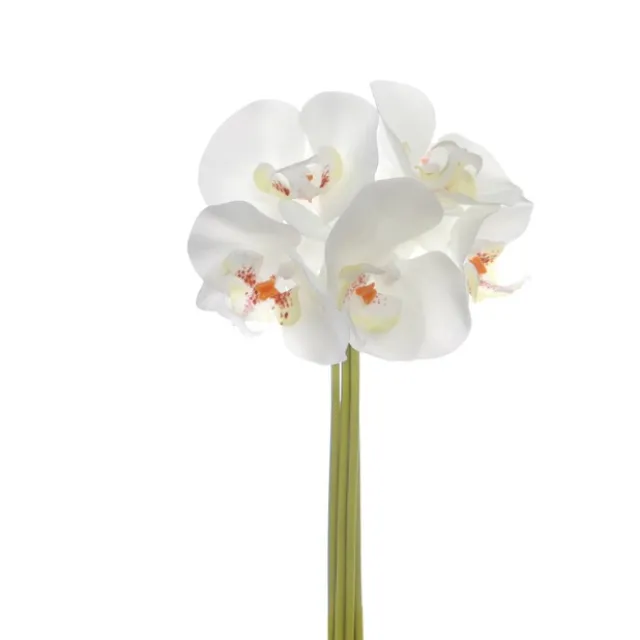 Phalaenopsis Orchid Bouquet Real Touch 6 Flowers White 29cm