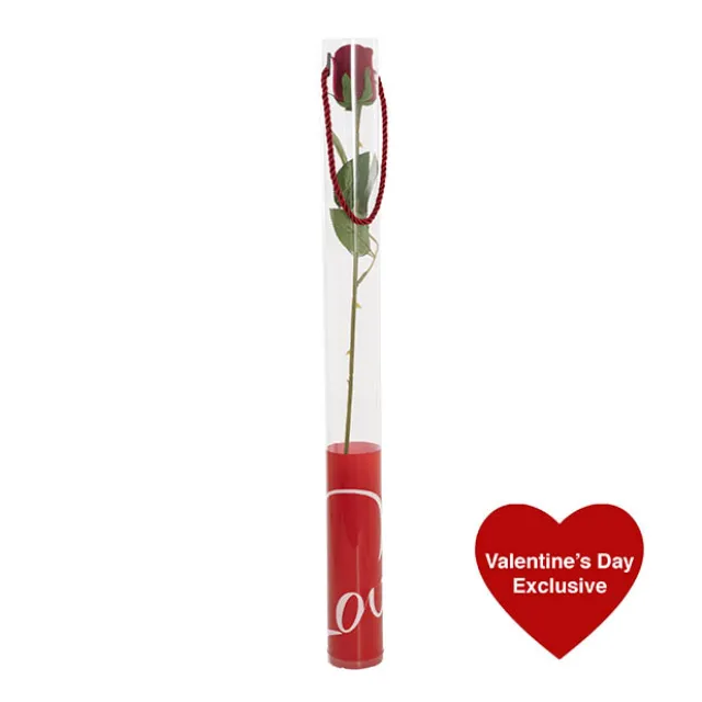 Velvet Rose Bud & Acetate Cylinder Love Tube Red (5.5x60cmH)