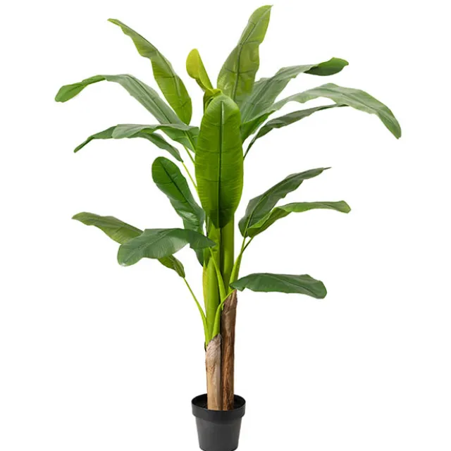 Artificial Banana Tree 3 Trunk Green (180cmH)
