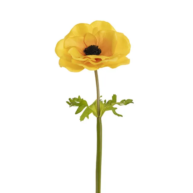 Anemone Flower Stem Yellow (14cmDx57cmH)